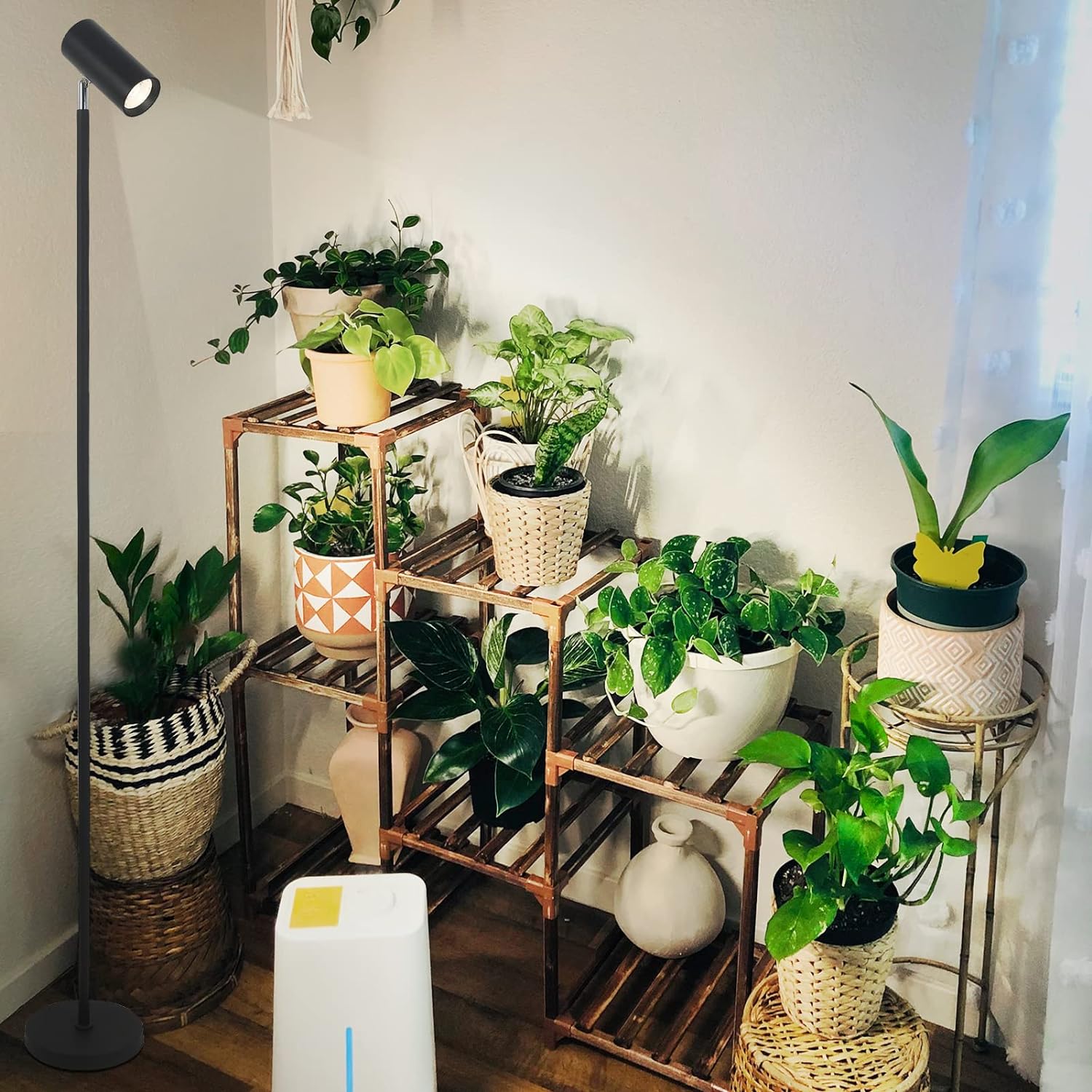 Fortune Candy 20W Standing Plant Grow Light, Full Spectrum Indoor Standing Lamp with COB Bulb for Houseplants
